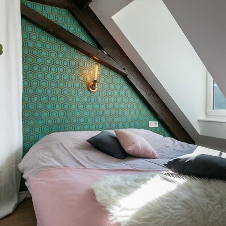 Strasbourg Mon Amour - Cozy - Rbnb エクステリア 写真